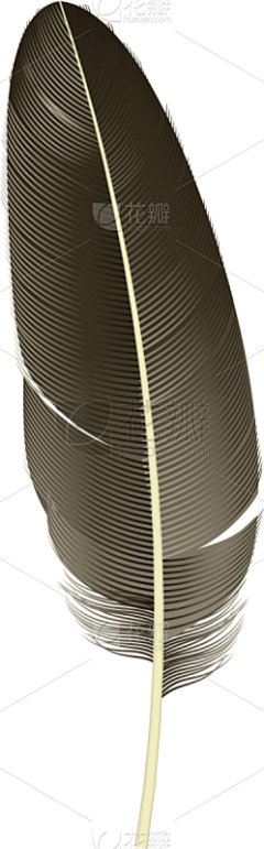 时尚,羽毛,图标,嬉皮士,夏天,条纹,华丽的,写实,收集