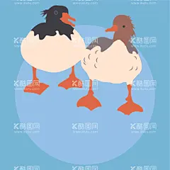 鸭子矢量素材插画  - 源文件下载【酷图网】大鹅,大雁,鸭子,天鹅,白天鹅,灰天鹅,可爱鸭子,鸭子图案,鸭子图标,鸭子背景,鸭子贴纸,鸭子壁纸,鸭子形象,鸭子卡通形象,鸭子图形,鸭子玩偶,鸭子表情,鸭子封面,鸭子海报,手绘鸭子,鸭子简笔画,鸭子图片,卡通鸭子,矢量鸭子,鸭子插画,卡通设计