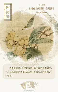 【#2025年5月5... - @法治四川的微博 - 微博