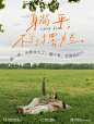 国际主义图文海报 - 小红书