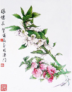 mok-zin采集到百花录