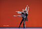 首届中国国际芭蕾演出季开幕gala
