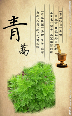 iQitzW0S采集到中药