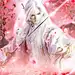 九姐美狐