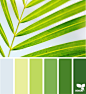 Design Seeds : Design Seeds color palettes ... posted daily for all who love color.