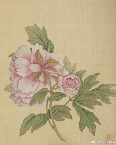 邹承海采集到工笔画