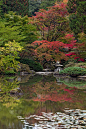 日式花园池塘