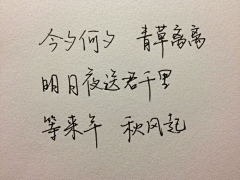 笑荼草采集到文字结