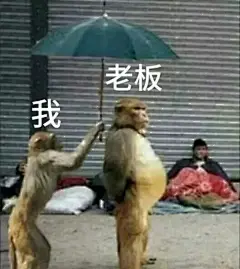 吗喽表情包 ｜做一只精致的都市丽喽 - 小红书