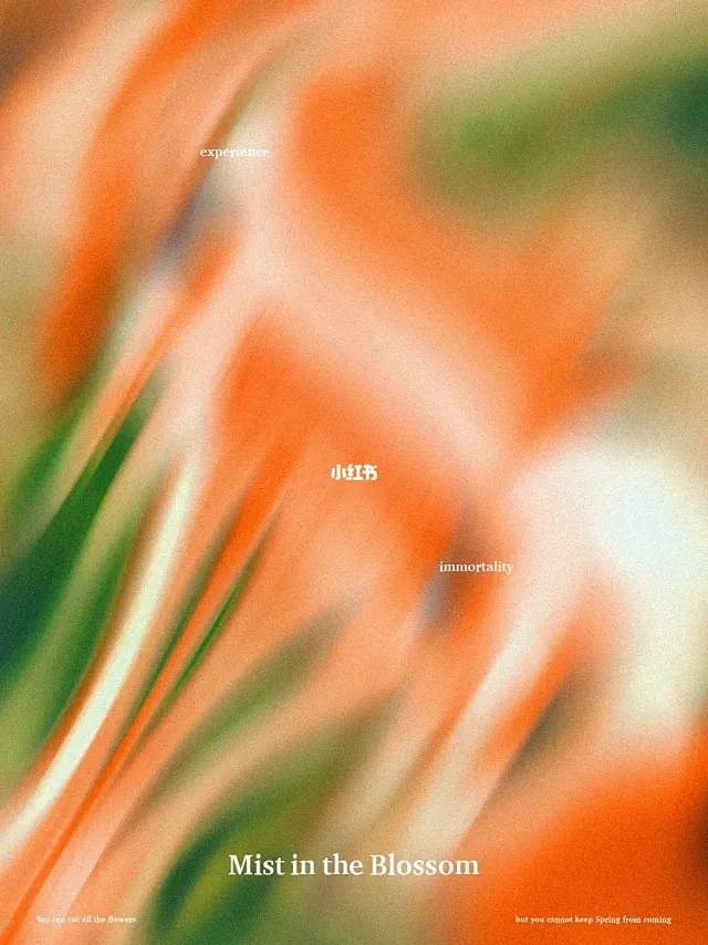 Coming soon • 小红书 / ...