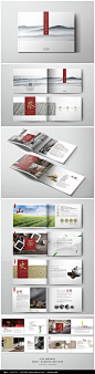 中国风简洁大气茶叶品牌画册图片