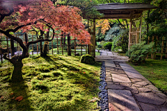 Xiar采集到日式庭院