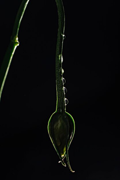 ChenchenB采集到freepik.com