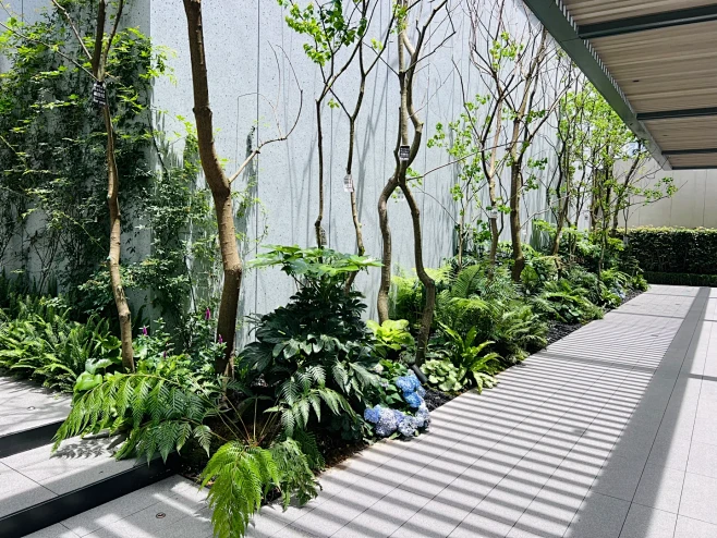 杂木 连廊边狭长空间-花瓣网