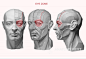 Anatomy Next - anatomy tools, books, links, blog, videos and know-how