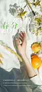 春分花卉氛围海报-志设网-zs9.com