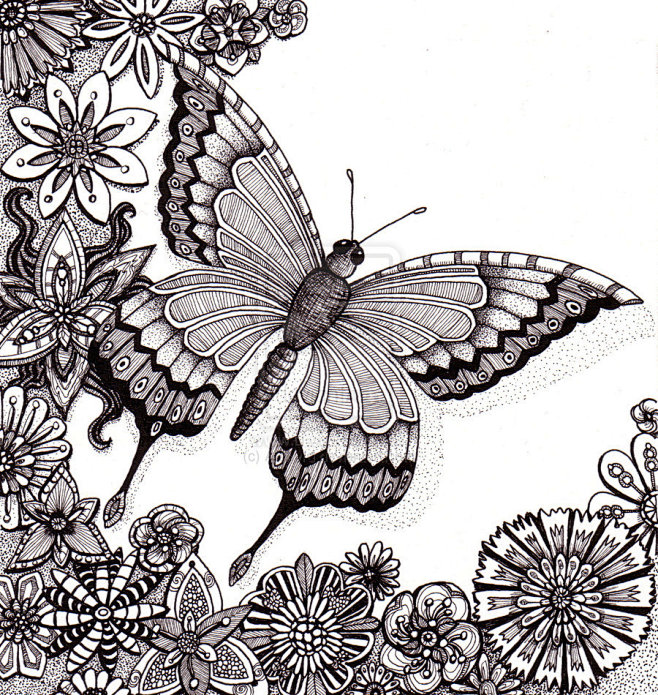 Flutter By Butterfly...