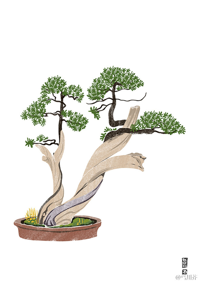鸟川芥的照片 - 微相册