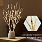 Amazon.com: Fudios Lighted Birch Branches 18IN 70 White Willow LED with Timer Battery Operated for Christmas Party Wedding Decoration Twig Lights Outdoor : Home & Kitchen