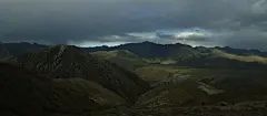 马奶茶