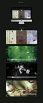 花季·花寄------这不是一曲《葬花吟》。 by 水木菁华 - UE设计平台-网页设计，设计交流，界面设计，酷站欣赏