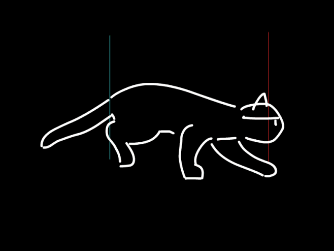 猫奔跑
