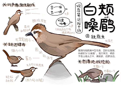 氵蔚藍氵采集到动物