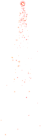 花瓣素材PNG免抠图素材