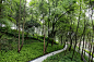 山水间 Hillside Eco-Park - 张唐景观