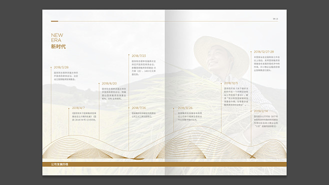 视觉传达国家融资担保画册设计应用场景_3