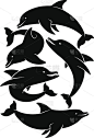海豚