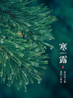 节气寒露晒风景简约风plog模板