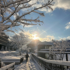 参考用采集到场景