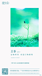 【源文件下载】 海报 房地产 立春 二十四节气 春天 小清新 简约