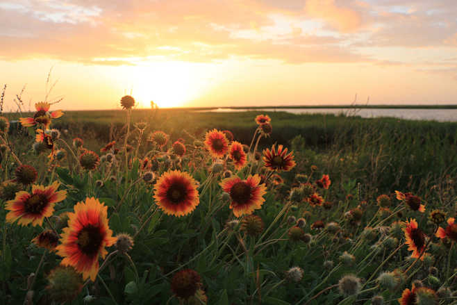 Louisiana Sunset by ...