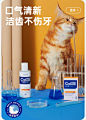 cature小壳旗舰店