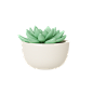 C4D花朵植物元素 (17)