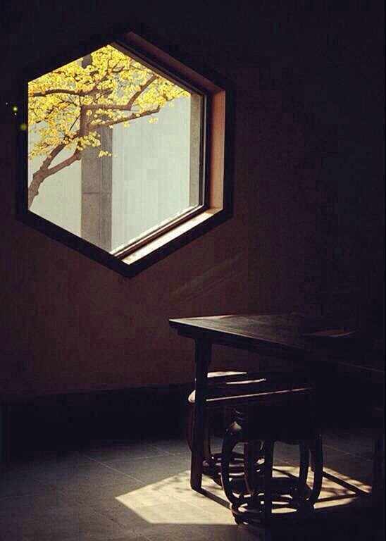『 窗外岁月，窗里人生… 』