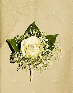 新郎的扣眼里有一束白色花束