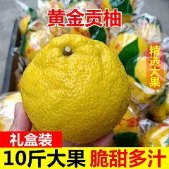 怀化洪江黄金贡柚春香桔柚象山青新鲜甜柚湖南雪峰山10斤大果礼盒-淘宝网