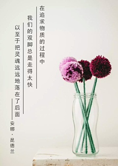 燕姐IVY采集到排版