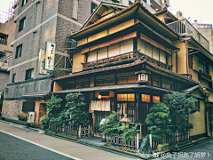 梦仟尘采集到中式建筑