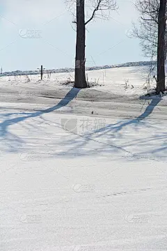 冰雪融化的原野和野生动物的足迹