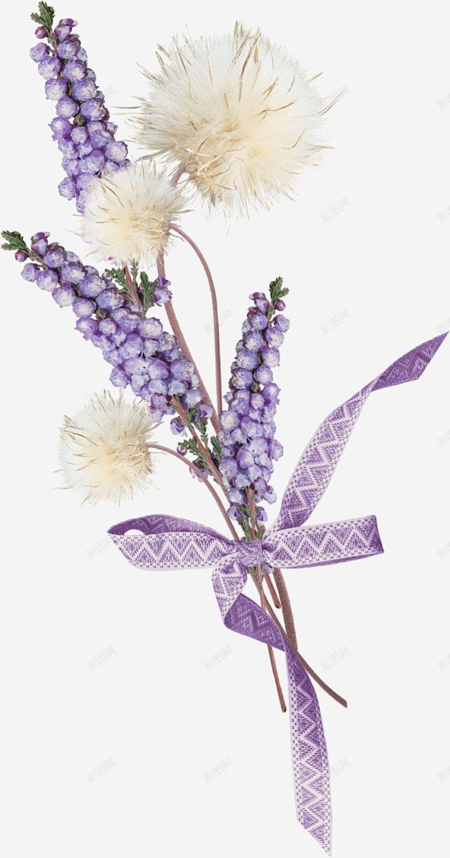 冒险家的旅程鲜花花朵装饰花卉图透明紫色花...