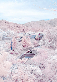 洛景川采集到历尽繁华