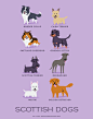 Designer Creates An Adorable Guide To The Dogs Of The World By Geographic Origin