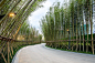 Szeyup Palace Display Area / Place Design Group,bamboo path. Image © LAB Photography