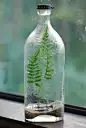 瓶子里的爱和风景