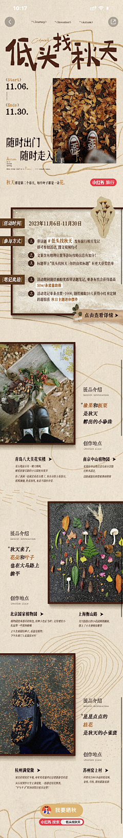Lemo-cat采集到运营-活动