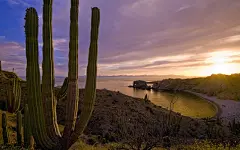 金色海岸夕阳黄昏风光风景宽屏壁纸桌面壁纸1